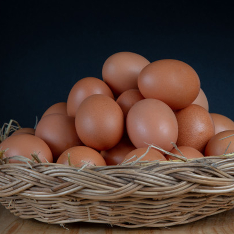 Huevos de gallina libre (30 Unid)